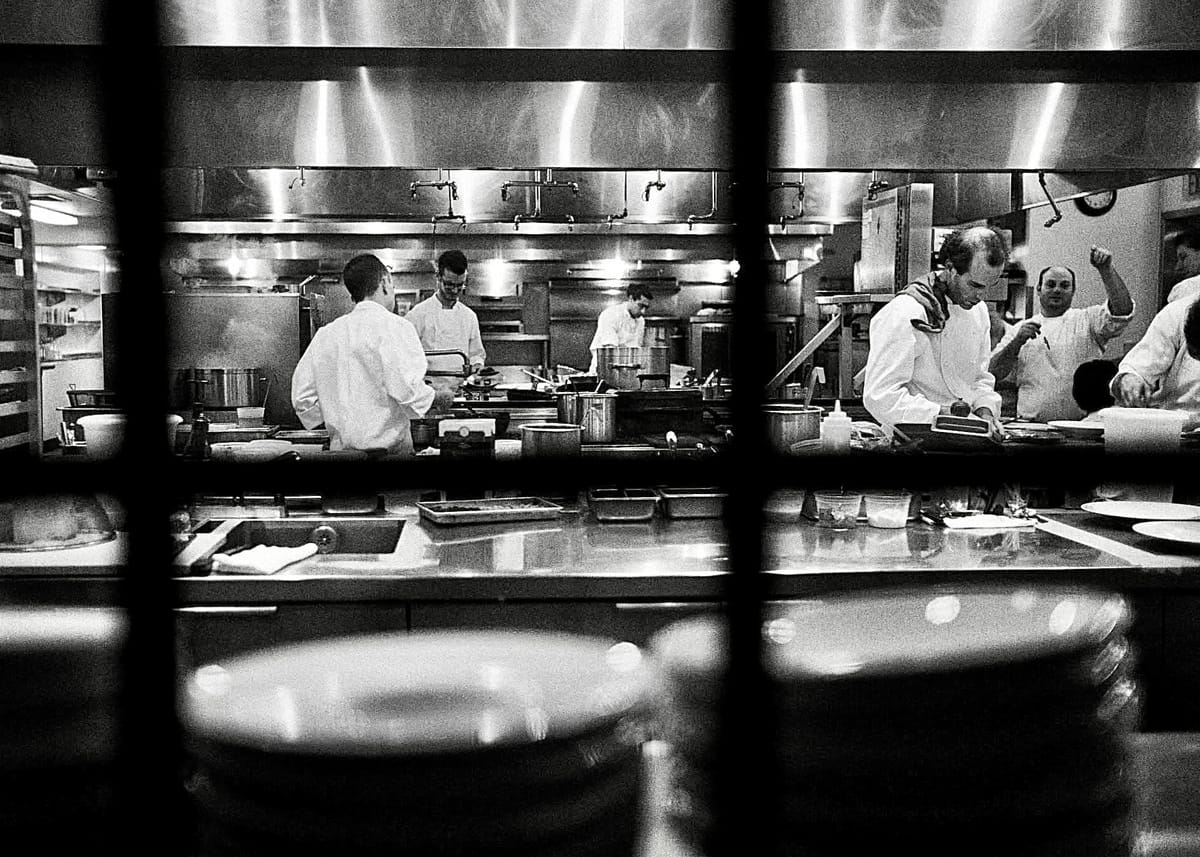 Раки любят, чтобы их варили живыми